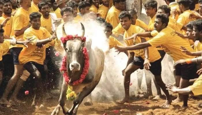 Jallikattu 2022: கோலாகலமாக தொடங்கியது அலங்காநல்லூர் ஜல்லிக்கட்டு title=