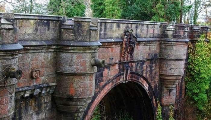 Scotland's Suicide Bridge: நாய்களின் ‘Suicide Point'; நீடிக்கும் மர்மம் title=