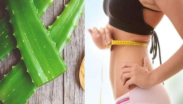 Weight loss TIPS: உடல் எடை குறைய உதவும் கற்றாழை, எப்படி சாப்பிடலாம் title=