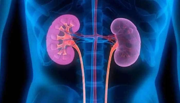 Kidney Health: ‘இந்த’ அறிகுறிகள் சிறுநீரக பாதிப்பிற்கான எச்சரிக்கை மணி..!! title=
