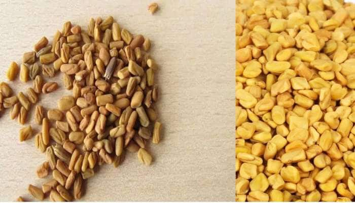 Fenugreek : இதயத்திற்கு இதமான வெந்தயத்தின்  அற்புத மருத்துவ நன்மைகள்..!!