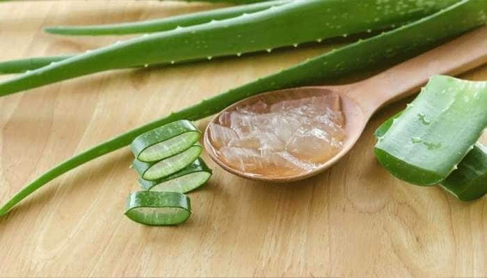 Side Effects Of Aloe Vera: கற்றாளையின் சில பக்க விளைவுகள்!