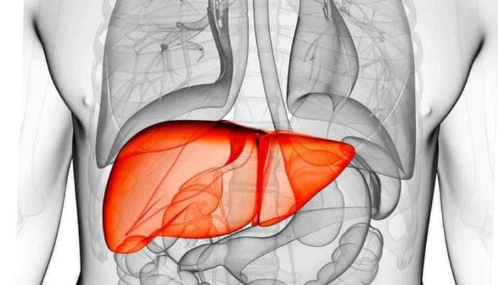 Fatty Liver: கல்லீரலில் சேர்ந்துள்ள கொழுப்பை நீக்கும் ‘4’  எளிய வழிகள்!