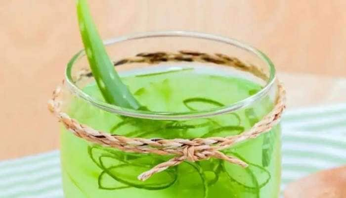 Aloe Vera Gel: ஆலோ வேரா ஜெல்லை வீட்டிலேயே எளிதாக தயாரிக்கலாம்!