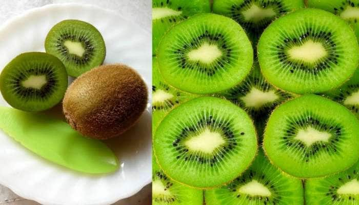 KIWI Benefits: டஃபான 5 நோய்களுக்கு டஃப் பைட் கொடுக்கும் கிவி! இது பழங்களின் கிங்!!  title=