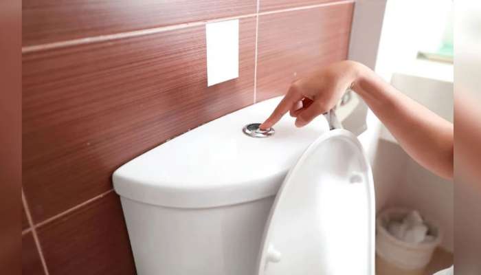 Toilet Rules: கழிப்பறை பயன்பாடு தொடர்பாக கடுமையான விதிகள் உள்ள ‘நாடுகள்’ ! title=
