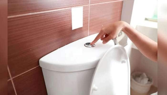 Toilet Rules: கழிப்பறை பயன்பாடு தொடர்பாக கடுமையான விதிகள் உள்ள ‘நாடுகள்’ !