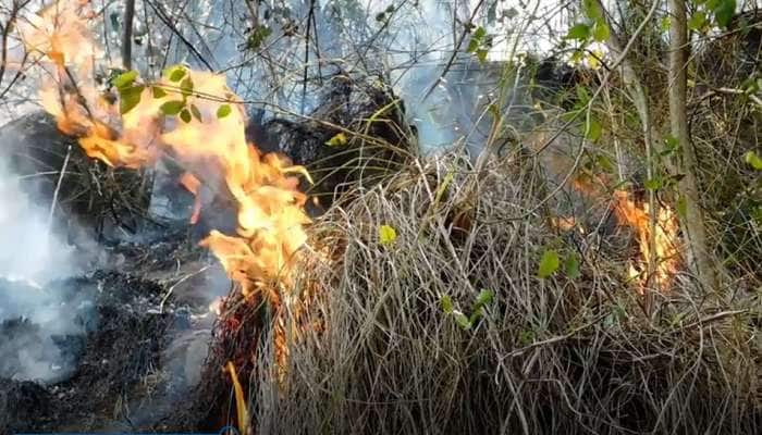 கொடைக்கானலில் பரவும் காட்டுத்தீ - தீயை அணைக்க வீரர்கள் போராட்டம்