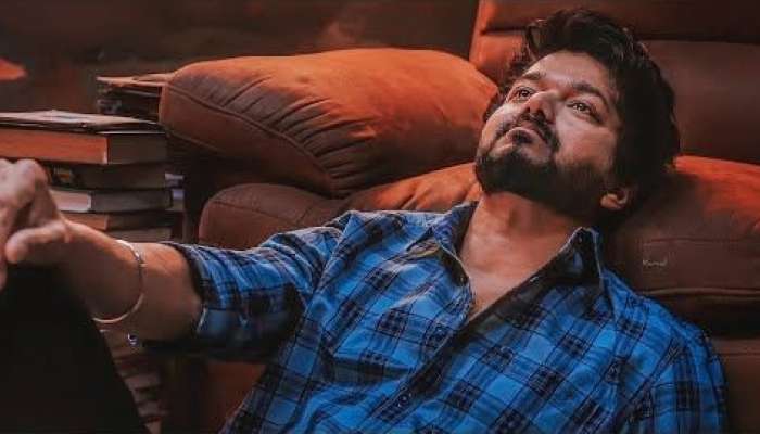 நடிகர் விஜய்க்கு அபராதம் விதிக்க வேண்டும்: தமிழக அரசு! title=