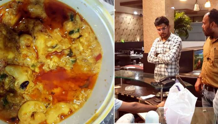 Zomato கொடுத்த அதிர்ச்சி! முந்திரி-சீஸ் கறியில்  இலவசமாக கிடைத்த கரப்பான் பூச்சி  title=