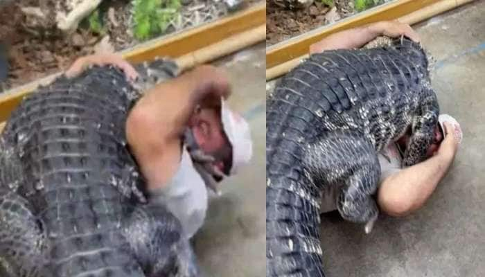 Crocodile Attack Video: முதலைக்கு கட்டிப்பிடி வைத்தியம் பார்க்கும் ஜெண்டில்மேன்! வைரலாகும் வீடியோ title=