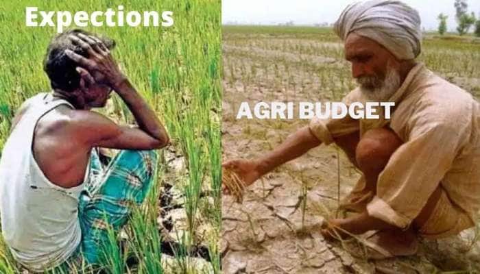 Agriculture Budget 2022: வேளாண் பட்ஜெட் மீதான மக்களின் பொதுவான எதிர்பார்ப்புகள் title=