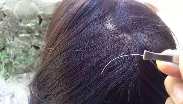 Black Hair Tips News in Tamil, Latest Black Hair Tips news, photos, videos | Zee News Tamil Black Hair Tips News in Tamil, Latest Black Hair Tips news, photos, videos | Zee News Tamil