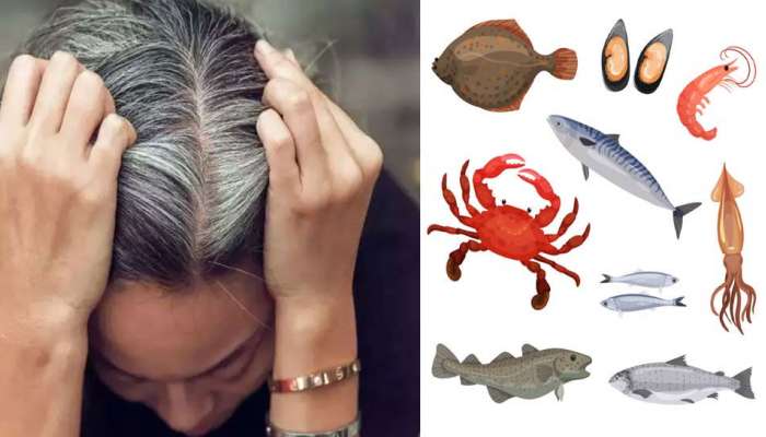 Black Hair Tips News in Tamil, Latest Black Hair Tips news, photos, videos | Zee News Tamil Black Hair Tips News in Tamil, Latest Black Hair Tips news, photos, videos | Zee News Tamil
