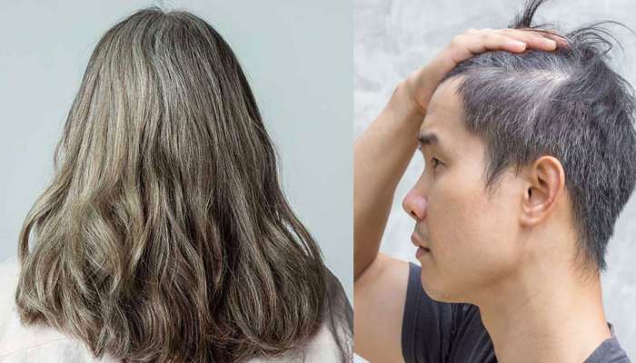 Hair Care Tips: Turn Grey Hair Black easily, naturally | நரைமுடி  பிரச்சனையா? இந்த தோல் இருந்தால் போதும், எளிதாக தீர்வு காணலாம் | Health News  in Tamil