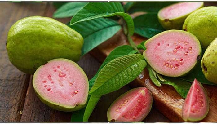 Guava Leaves: எடை இழப்புக்கு உதவும் கொய்யா இலையின் மேஜிக் பானம் title=