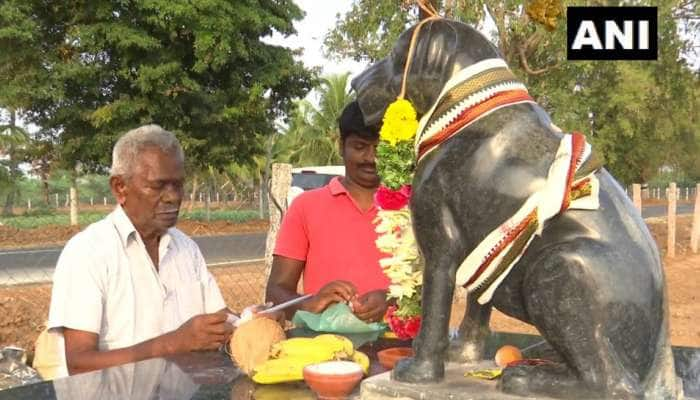 இறந்த செல்ல நாய்க்கு கோவில் கட்டிய முதியவர்: இணையவாசிகளை இளக வைத்த நிகழ்வு