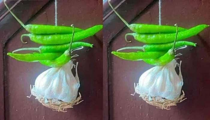 Viral: உச்சம் தொட்ட எலுமிச்சை விலை; கண் திருஷ்டிக்கு கை கொடுத்த பூண்டு