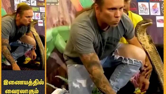 Viral Video of Man gives Kiss to King Cobra