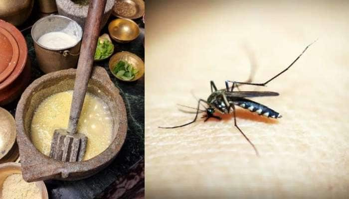 Malaria vs Food மலேரியா பாதித்தவர்கள் கண்டிப்பாக இதை சாப்பிடக்கூடாது