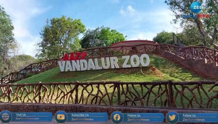 வண்டலூர் ZOO வீட்டில் இருந்தே நேரடியாக பார்க்கலாம்