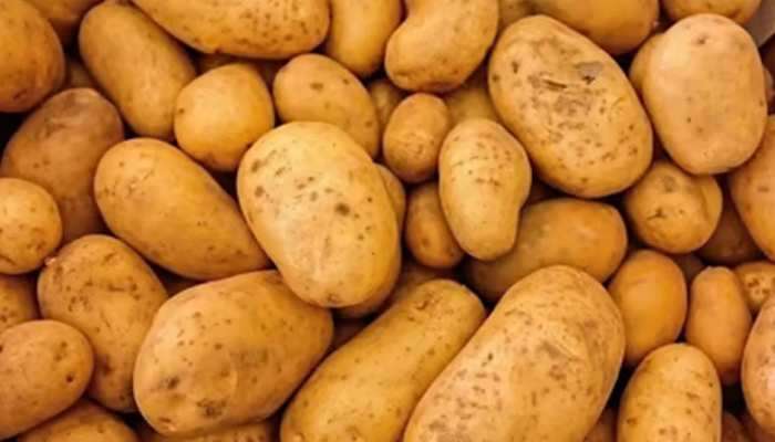 Potato Side Effects: உருளை கிழங்கில் ஒளிந்திருக்கும் ஆபத்து; 5 தீமைகள் இதுதான்