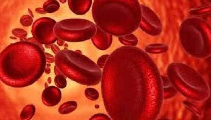 Anemia: மாதுளை - பீட்ரூட் மட்டுல்ல; இதுவும் ரத்த சோகையை குணப்படுத்தும் title=