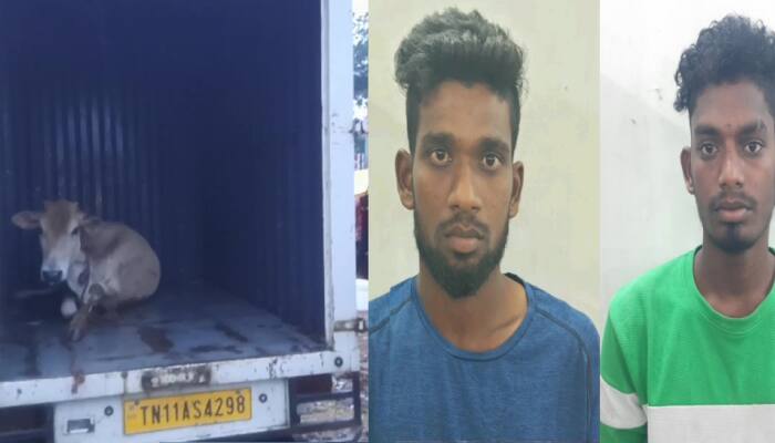 domestic animals News in Tamil, Latest domestic animals news, photos, videos | Zee News Tamil domestic animals News in Tamil, Latest domestic animals news, photos, videos | Zee News Tamil