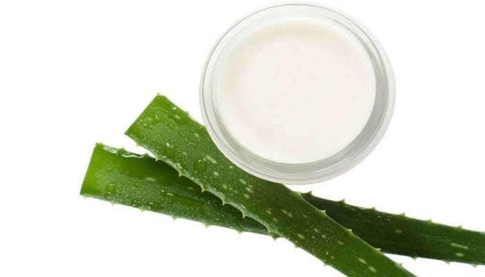 Aloe Vera: ஆரோக்கியத்தின் ஆலை கற்றாழை சாற்றின் அற்புத நன்மைகள்