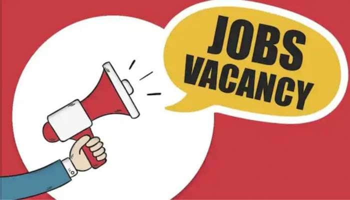 MNC JOBS: இந்தியாவில் 2 லட்சத்துக்கும் அதிகமான வேலை வாய்ப்புகள் தயார் title=