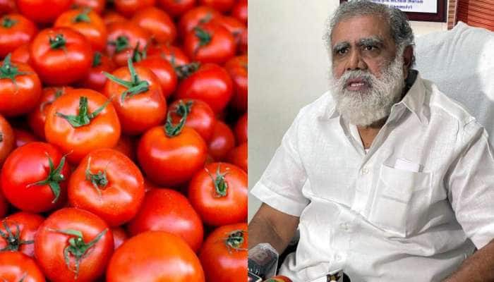 பண்ணை பசுமை கடைகளில் குறைந்த விலையில் தக்காளி விற்பனை - அமைச்சர்  ஐ.பெரியசாமி | Tomato Sale At Low Prices In Farm Green Shops Said Minister I  Periyasamy | Tamil Nadu News in Tamil