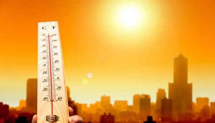 Summer Tips: கோடையில் இந்த காயை சாப்பிட்டால் போதும், கோடை கூலாக கழியும்