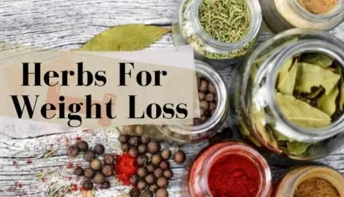 Lose Weight Fast: எடை இழப்புக்கான அடுப்பங்கரை மசாலாக்கள் title=