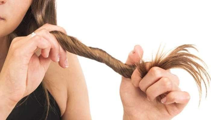 Hair Care Tips: அடர்ந்த கூந்தல் பெற சில எளிய டிப்ஸ் இதோ title=