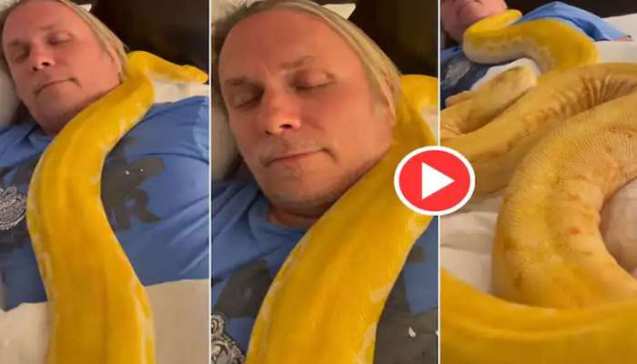 Scary Viral Video: Snake Wakes Up Sleeping Man in Bed