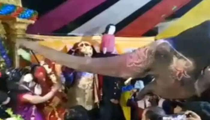 மாலை போட்ட யானை: அதிர்ச்சியில் மணமக்கள், குழப்பத்தில் விருந்தினர், வீடியோ வைரல்