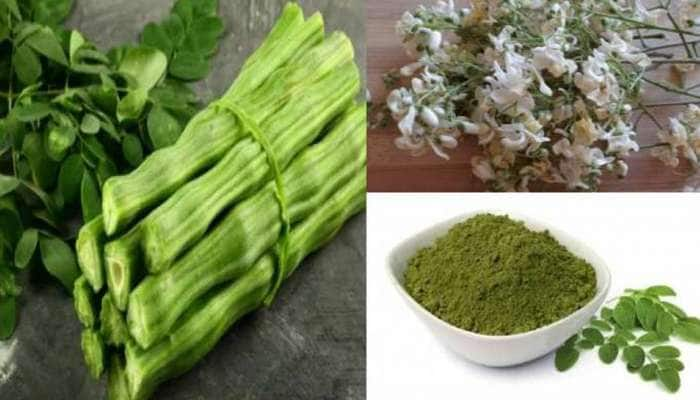 Health News: முருங்கையின் மகத்தான மருத்துவ குணங்கள்