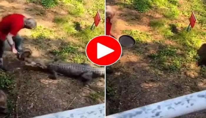 Crocodile Attack Viral Video: Netizens amused at  the sudden twist