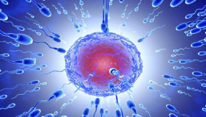 Low Sperm Count: விந்தணு குறைப்பாட்டுக்கான அறிகுறி