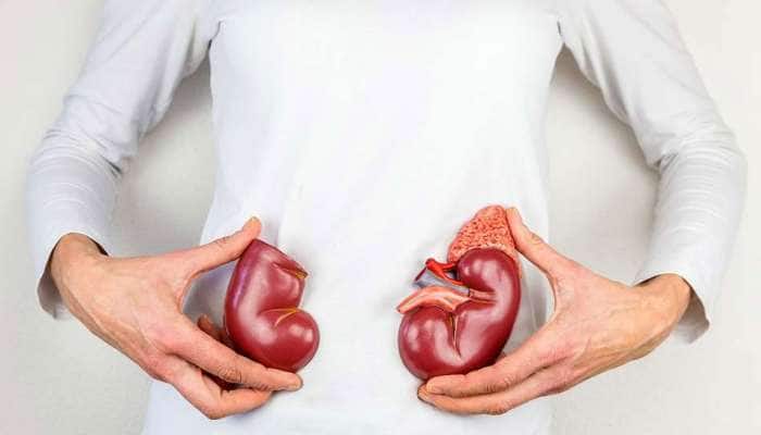 Kidney Health: சிறுநீரக கற்களை நீக்கும் 3 மேஜிக் ஜூஸ்கள் title=