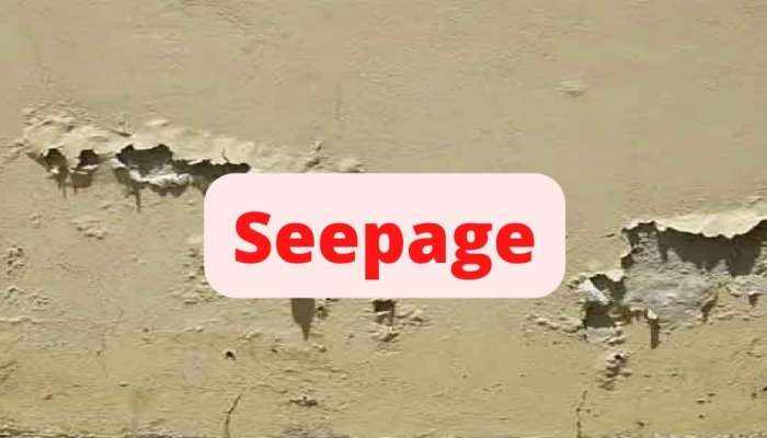 Avoid Seepage: சுவர்களில் ஈரப்பதமா இல்லை நீர்க்கசிவா: பாதுகாக்க வழிகள்