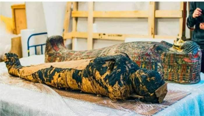 Egyptian Mummy: கர்ப்பிணி மம்மியின் ஆராய்ச்சியில் வெளியான ஆச்சர்ய தகவல்கள்