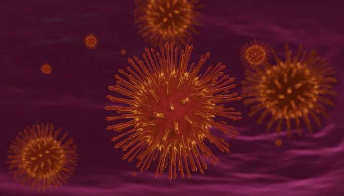 Marburg Virus Alert: கொரோனா விட கொடிய வைரஸ்.. பீதியை கிளப்பும் WHO