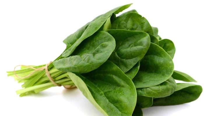 Spinach: ரத்த சோகையை விரட்டும் கீரை