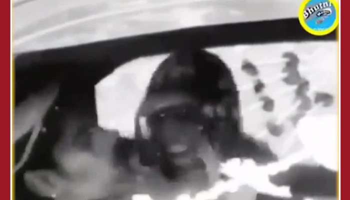Funny Viral Video: Bride beats Groom in Car, Know Reason Here