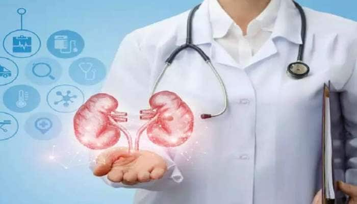 Health Tips: சிறுநீரகத்தை பாதுகாக்கும் வீட்டு மூலிகை