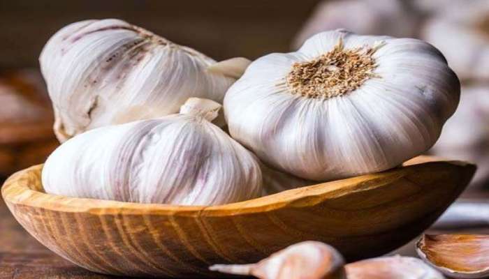 Garlic: அதிக அளவிலான பூண்டு உடல் நலத்திற்கு ஆபத்து