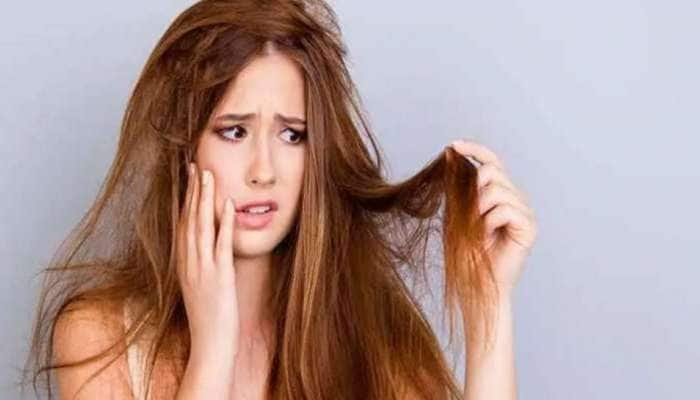 Hair Care Tips: மழைக்காலத்தில் தலைமுடியை பராமரிக்கும் வழிகள்