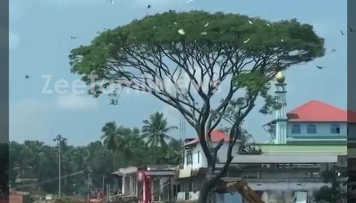 People get Emotional in Kerala as a very old Tree gets Removed by JCB