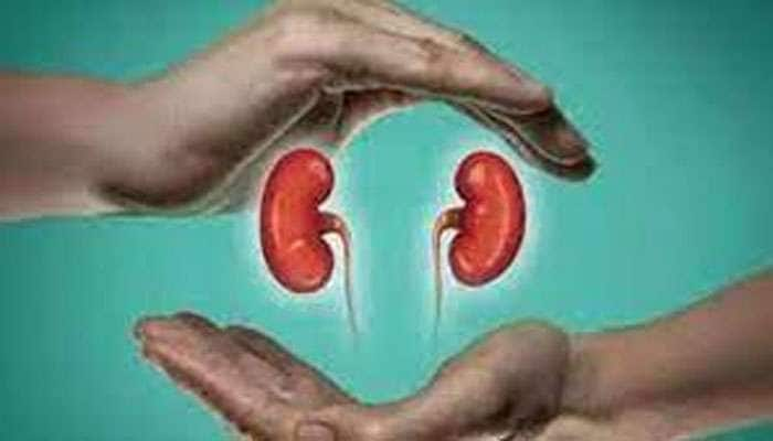 Health Alert: சிறுநீரக கற்கள் அபாயத்தை அதிகரிக்கும் ‘சில’ காய்கறிகள்..!